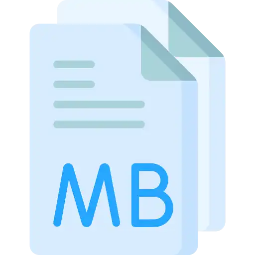 File Size